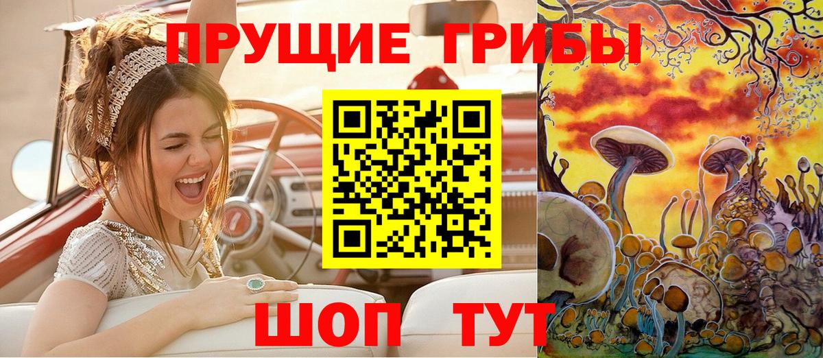 Галлюциногенные грибы MAGIC MUSHROOMS  Вход с VPN  Евпатория 