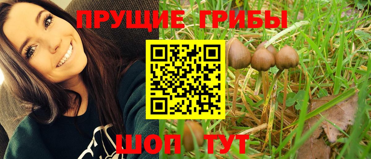 Галлюциногенные грибы GOLDEN TEACHER Евпатория